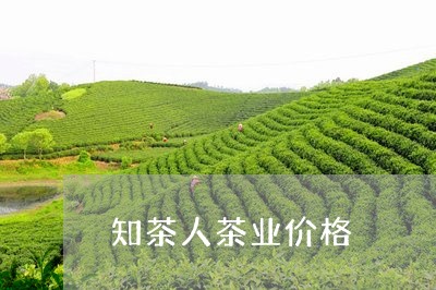 知茶人茶业价格/2023050140532