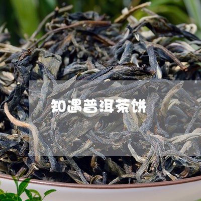 知遇普洱茶饼/2023042876856