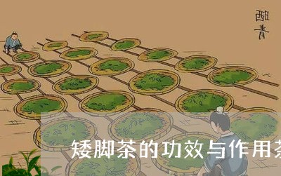 矮脚茶的功效与作用茶/2023071504725