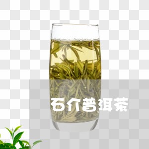 石介普洱茶/2023090665038