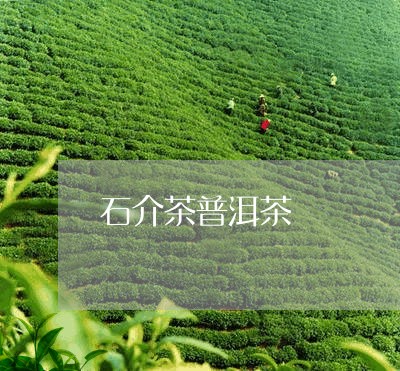 石介茶普洱茶/2023042856444