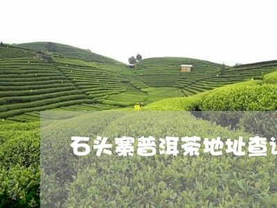 石头寨普洱茶地址查询表/2023102403050