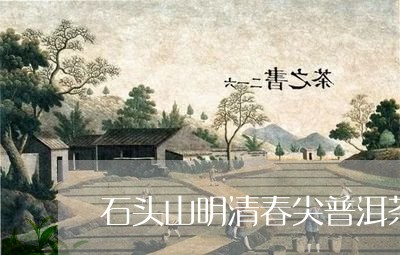 石头山明清春尖普洱茶/2023062447270