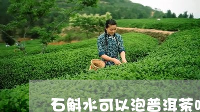 石斛水可以泡普洱茶吗/2023062371725