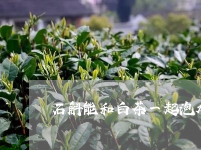 石斛能和白茶一起泡水喝吗/2023110853952