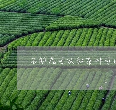 石斛花可以和茶叶可以一起泡吗/2023053136370