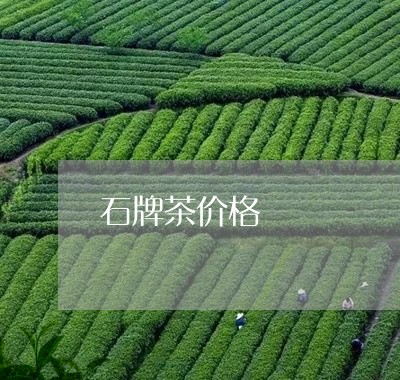 石牌茶价格/2023090228152