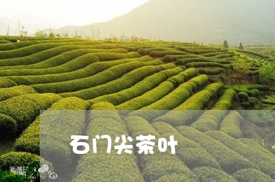 石门尖茶叶/2023041791966