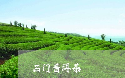 石门普洱茶/2023090559258