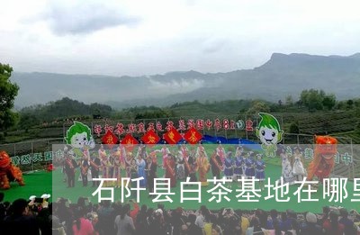 石阡县白茶基地在哪里呢/2023110285192