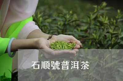 石顺號普洱茶/2023112651403