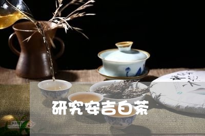 研究安吉白茶/2023052176372