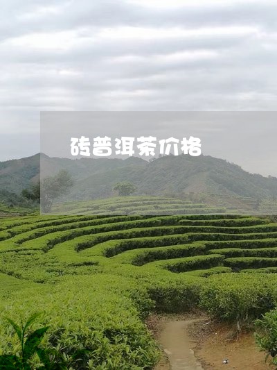 砖普洱茶价格/2023042845528