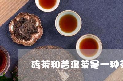 砖茶和普洱茶是一种茶吗/2023110199280