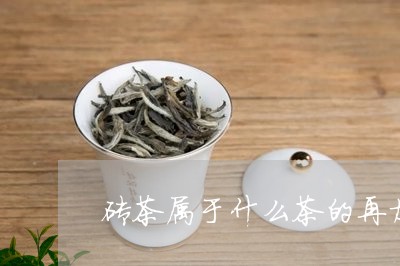 砖茶属于什么茶的再加工茶/2023051105151