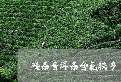 砖茶普洱茶含氟较多/2023080294027