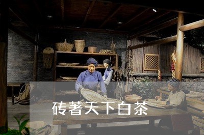 砖著天下白茶/2023052171927