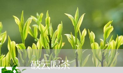 破云喝茶/2023121934048