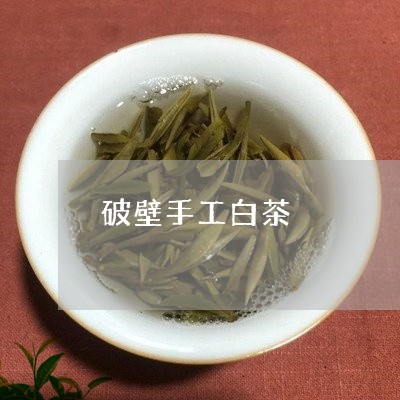 破壁手工白茶/2023052178270