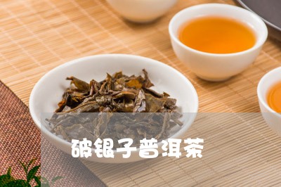 破银子普洱茶/2023042603645