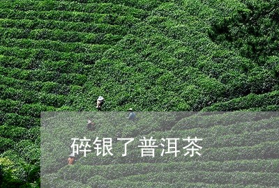 碎银了普洱茶/2023042705159