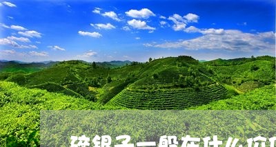 碎银子一般在什么价位/2023071541846