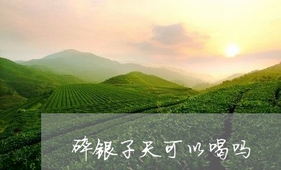 碎银子天可以喝吗/2023042161605