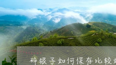 碎银子如何保存比较好/2023071596160