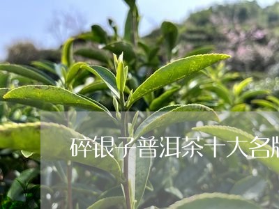 碎银子普洱茶十大名牌/2023061494917