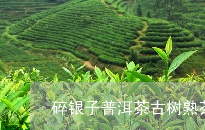 碎银子普洱茶古树熟茶/2023062319470