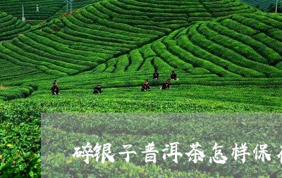 碎银子普洱茶怎样保存比较好/2023052818361