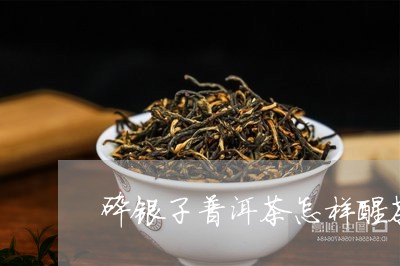 碎银子普洱茶怎样醒茶/2023100720613