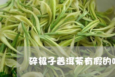 碎银子普洱茶有假的吗/2023092850692