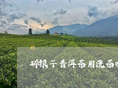 碎银子普洱茶用洗茶吗/2023062242906