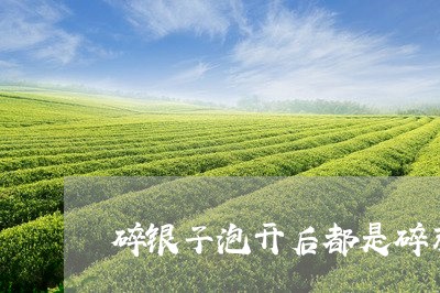 碎银子泡开后都是碎末/2023060821593