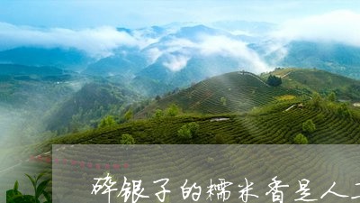 碎银子的糯米香是人工香料吗/2023052667181