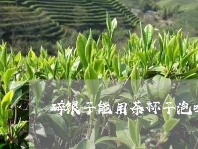 碎银子能用茶杯子泡吗/2023060826359