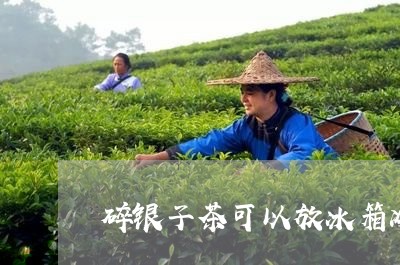 碎银子茶可以放冰箱冷冻吗冬天/2023053191403