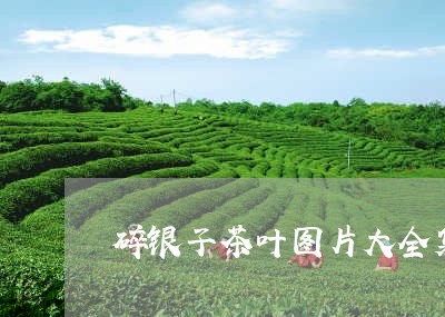 碎银子茶叶图片大全集/2023092223937