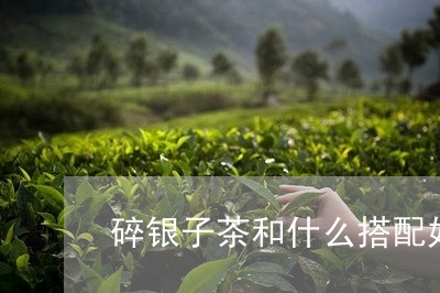 碎银子茶和什么搭配好/2023071597259