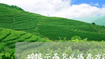 碎银子茶怎么保存方法/2023060824946