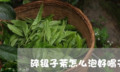 碎银子茶怎么泡好喝又香又甜视频/2023060227159