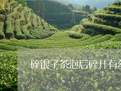 碎银子茶泡后碎开有丝/2023060960523