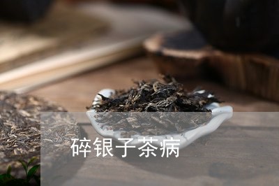 碎银子茶病/2023090274848