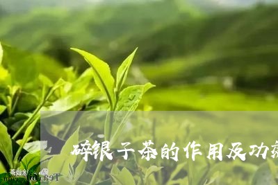 碎银子茶的作用及功效与禁忌/2023052767402