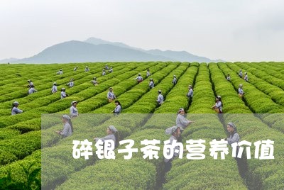 碎银子茶的营养价值/2023042581681