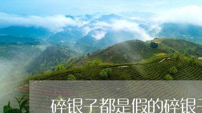 碎银子都是假的碎银子怎么区分好坏/2023060471693