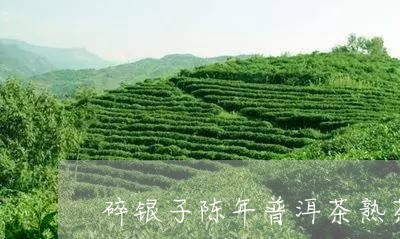 碎银子陈年普洱茶熟茶/2023120632703