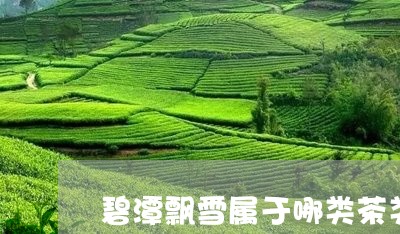 碧潭飘雪属于哪类茶类/2023071569470