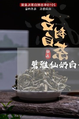 碧雅仙奶白茶/2023052135269